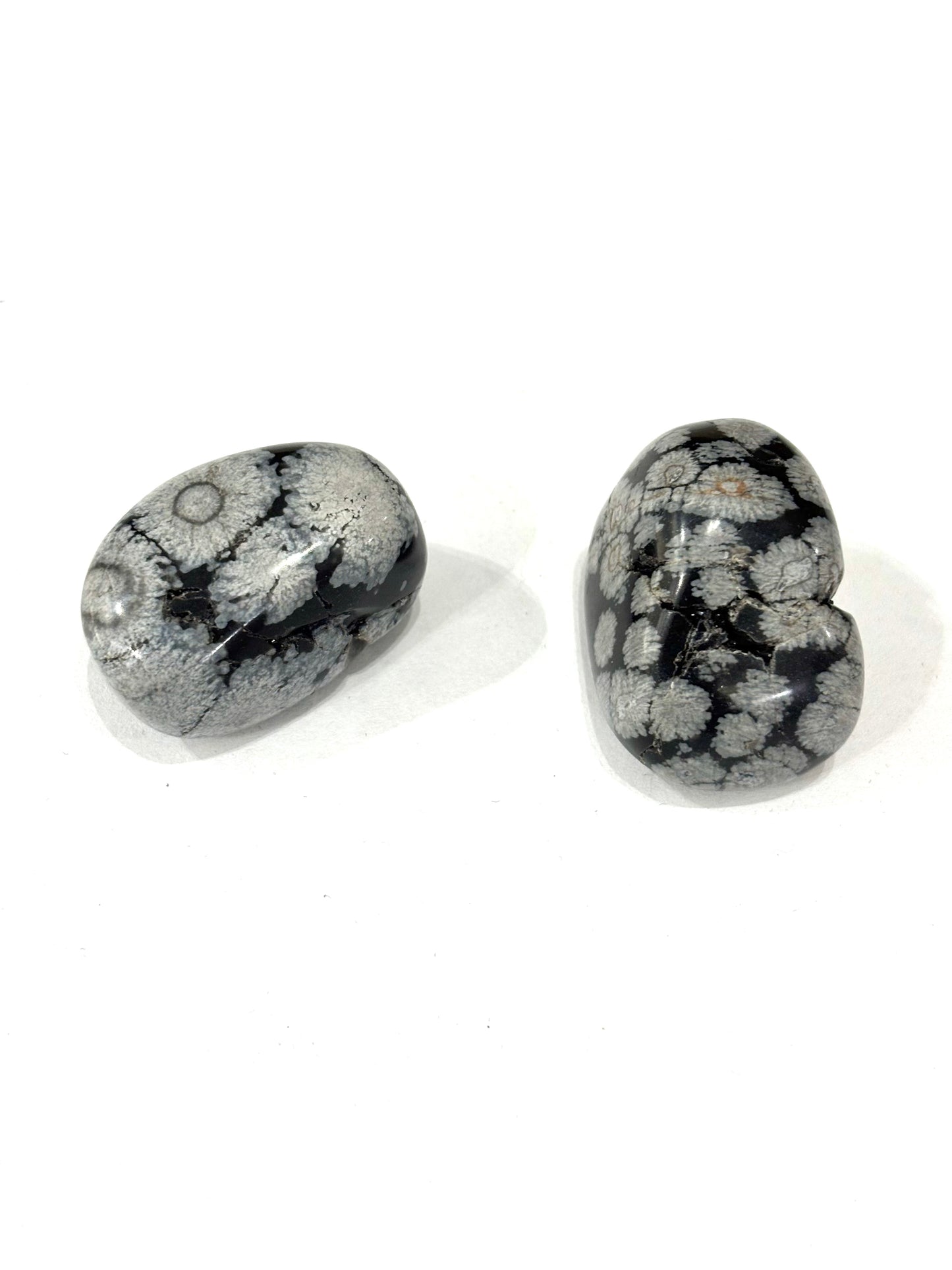 OSSIDIANA BURATTATA
