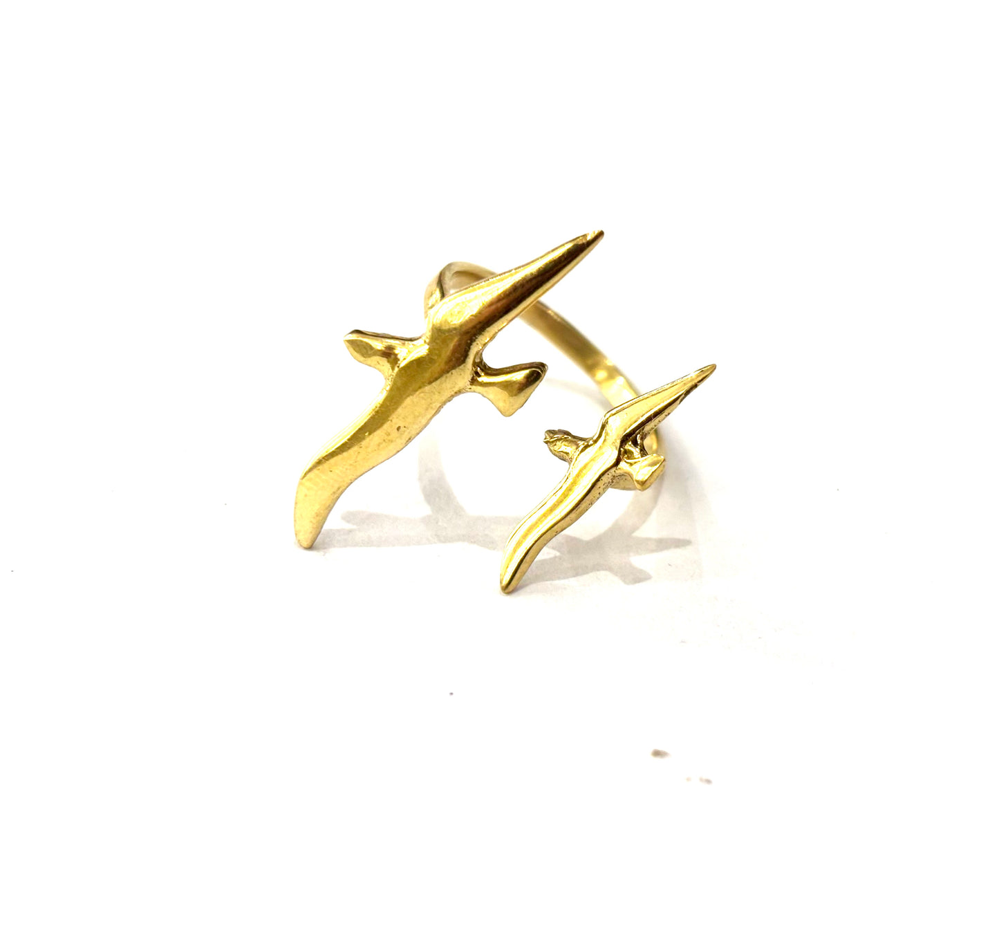 ANELLO OTTONE - RONDINI