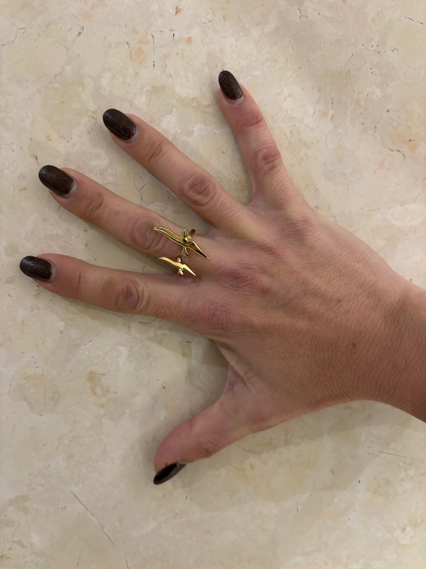 ANELLO OTTONE - RONDINI