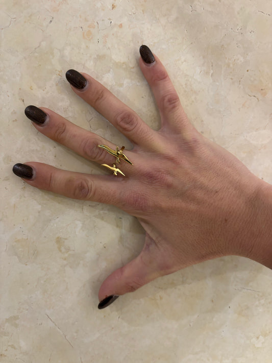 ANELLO OTTONE - RONDINI